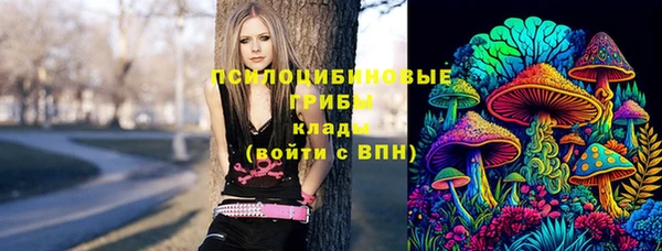индика Абдулино